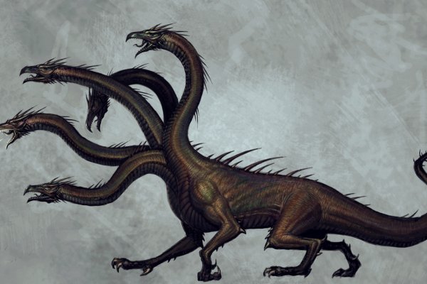 Kraken 23at
