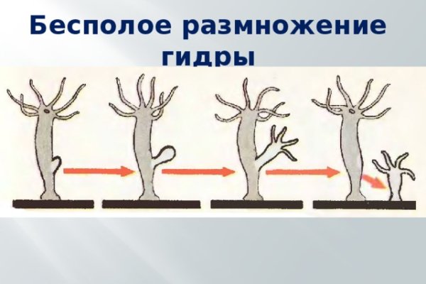 Актуальные ссылки кракен 2025