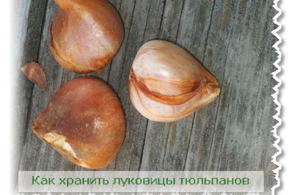 Как выйти на кракен