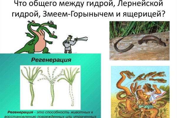 Клирнет ссылка на зеркало маркетплейс кракен