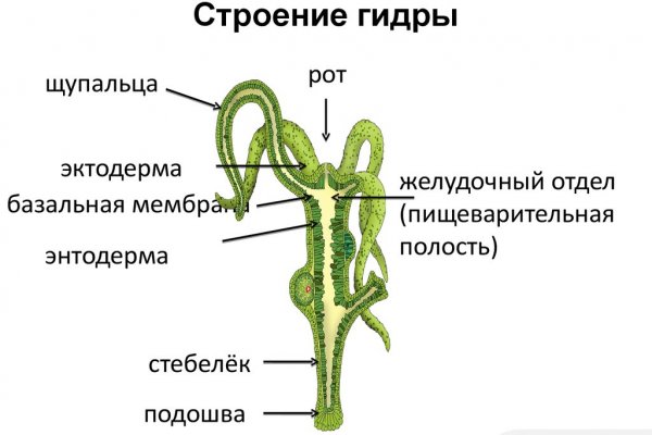 Ссылка в магазин на кракен