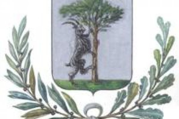 Что такое кракен тор