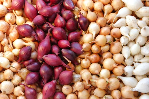 Оригинальная ссылка кракен браузера