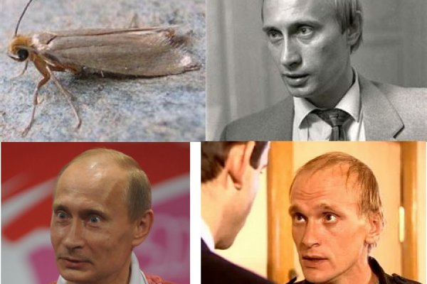 Кракен сайт маркетплейс