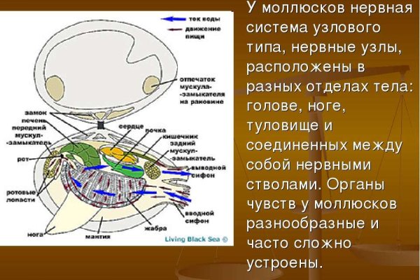 Как зайти на кракен