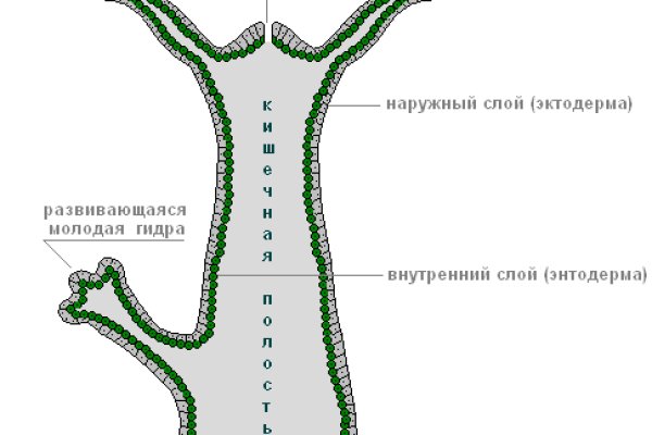 Кракен маркетплейс kr2web in